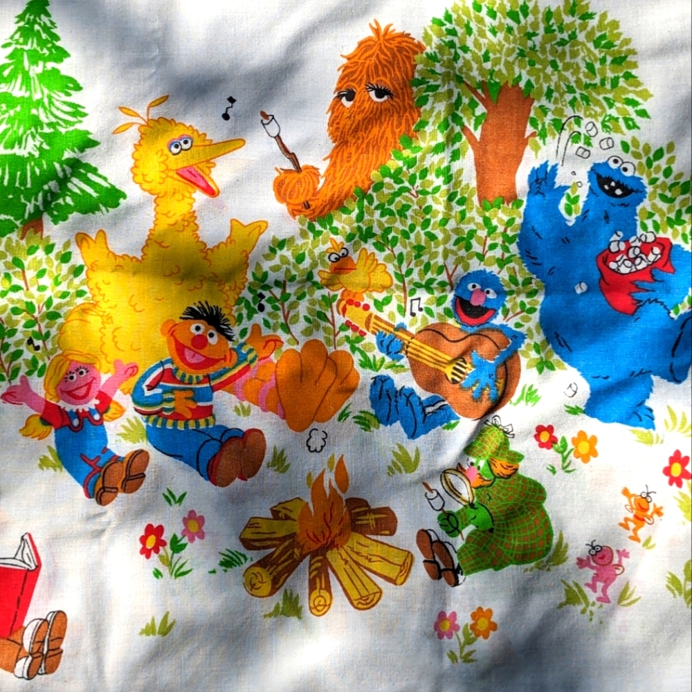 Vintage Sesame Street pillowcase Ernie Bert Cookie Monster